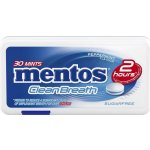 Mentos CleanBreath Peppermint 21 g – Sleviste.cz