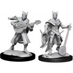 WizKids D&D Tiefling Female Bard Unpainted Dungeons & Dragons Nolzur's Marvelous Miniatures – Hledejceny.cz