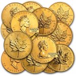 Royal Canadian Mint Maple Leaf zlatá mince 50 CAD stand 1 oz – Zboží Dáma