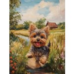 Norimpex Diamantové malování Jorkšírský teriér 30 x 40 cm – Sleviste.cz