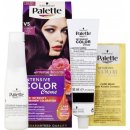 Pallete Intensive Color Creme Intenzivní fialová V5