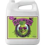 Advanced Nutrients Big Bud Liquid 4 l – Hledejceny.cz