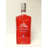 Vodka Helsinki Raspberry 40% 1 l (holá láhev) – Zboží Dáma