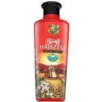 Herbaria Banfi Posilující vlasový aplikátor 250 ml – Hledejceny.cz