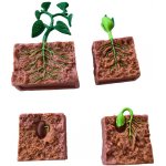 Animal Life životní cyklus Fazole – Zbozi.Blesk.cz