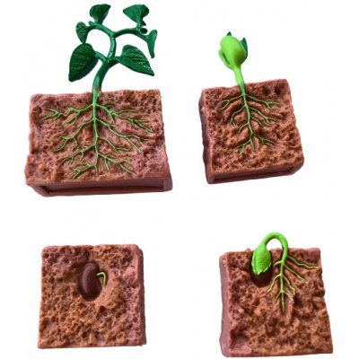 Animal Life životní cyklus Fazole – Zbozi.Blesk.cz