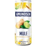 Amundsen Mule vodka & zázvor & limeta & soda 6% 0,25 l (plech) – Zboží Dáma
