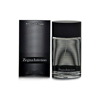 Ermenegildo Zegna Intenso toaletní voda pánská 100 ml