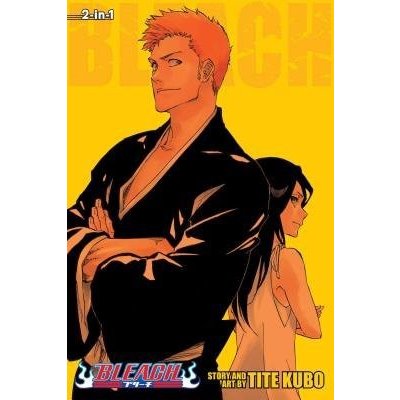 Bleach 2-in-1 Edition, Vol. 25 – Hledejceny.cz