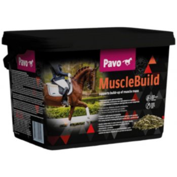 Pavo Muscle Build NEW 3 kg