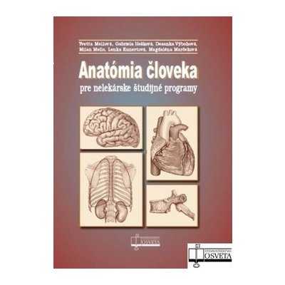 Anatómia človeka pre nelekárske štúdijné programy – Hledejceny.cz