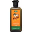 Xpel Ginger kondicionér 400 ml