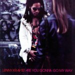 Lenny Kravitz - ARE YOU GONNA GO MY WAY LP – Hledejceny.cz