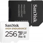SanDisk microSDHC 256 GB SDSQQNR-256G-GN6IA – Zbozi.Blesk.cz