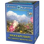 Everest Ayurveda Shatapushpi 100 g – Hledejceny.cz
