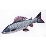 Gaby Polštář ryba Lipan podhorní 65 cm – Hledejceny.cz