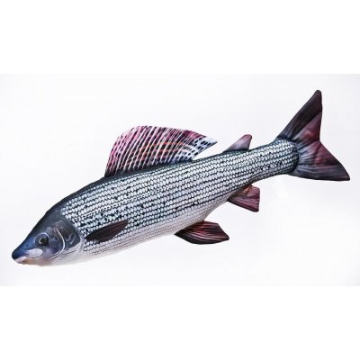 Gaby Polštář ryba Lipan podhorní 65 cm – Hledejceny.cz