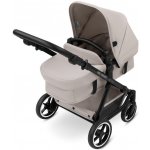 ABC Design Migno 2024 teddy – Hledejceny.cz