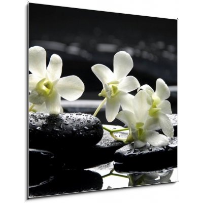 Obraz 1D - 50 x 50 cm - Zen stones and white orchids with reflection Zenové kameny a bílé orchideje s odrazem – Hledejceny.cz
