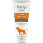 Inodorina šampon pro krátkosrsté 250 ml – Hledejceny.cz