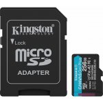 Kingston microSDXC 256GB Canvas Go Plus SDCG4/256GB – Hledejceny.cz