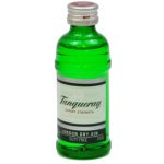 Tanqueray London Dry Gin 47,3% 0,05 l (holá láhev) – Zboží Dáma