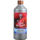 HESI Boost 1 L