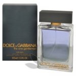 Dolce & Gabbana The One Gentleman toaletní voda pánská 30 ml – Hledejceny.cz