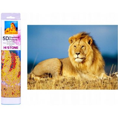 Norimpex Diamantový obrázek malování Lví majestát 30 x 40 cm – Sleviste.cz
