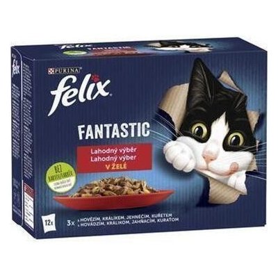 FELIX Fantastic cat hovädzie hydina zelená fazulka & jahňa kura rajčiny & morka kačka v želé 12 x 85 g