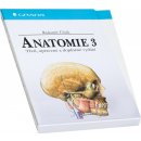 Anatomie 3 - Radomír Čihák