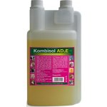 Trouw Nutrition Biofaktory Kombisol AD3E a.u.v. sol 1000 ml – Hledejceny.cz