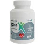 Klas KOENZYM Q10 + RUTIN 60 kapslí – Hledejceny.cz