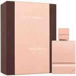 Al Haramain Amber Oud parfémovaná voda unisex 60 ml – Hledejceny.cz