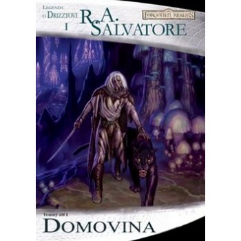 Forgotten Realms - Temný elf 1: Domovina - R. A. Salvatore