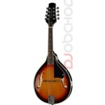 Harley Benton HBMA-50 Mandoline VS – Hledejceny.cz