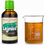 Bylinné kapky Pavlovy Lejnice TCM tinktura 50 ml – Hledejceny.cz