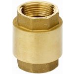 Emsan Mosazná zpětná klapka 2" s plastovou klapkou – Sleviste.cz