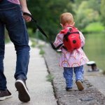 LittleLife Beruška červený – Hledejceny.cz