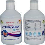 Swedish Nutra Collagen Joint Support kĺbová výživa 500 ml – Hledejceny.cz
