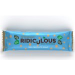 TPW Ridiculous Vegan Protein Bar 47 g – Hledejceny.cz