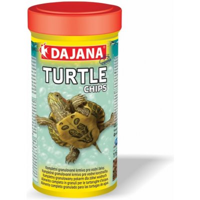 Dajana Turtle chips 250 ml – Zboží Dáma