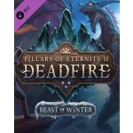Pillars of Eternity 2: Deadfire - Beast of Winter – Hledejceny.cz