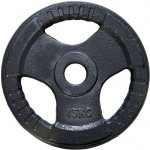 FitnessLine Kotouč olympijský litinový 50 mm - 15 kg – Hledejceny.cz