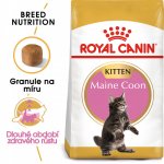 Royal Canin Maine Coon Kitten 0,4 kg – Zboží Dáma
