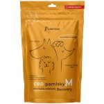 Cure Point CBD Recovery M Pamlsky pro psy 100 g – Zbozi.Blesk.cz