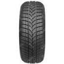 Taurus 601 Winter 195/65 R15 95T