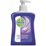Dettol Nourish vyživující antibakteriální tekuté mýdlo dávkovač 250 ml – Hledejceny.cz