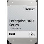 Synology HAT5300 12TB, HAT5300-12T – Zboží Živě