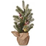 Emos LED vánoční stromek zasněžený 52 cm DCTW04 – Hledejceny.cz